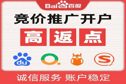 揭秘sem百度竞价背后的成功秘诀与案例